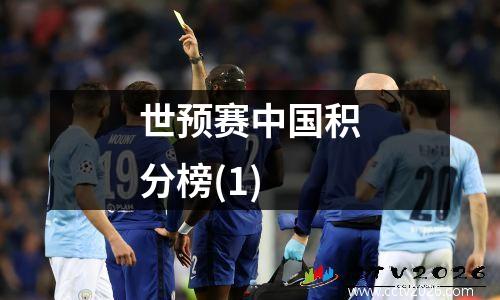 世预赛中国积分榜(1)