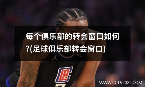 每个俱乐部的转会窗口如何?(足球俱乐部转会窗口)