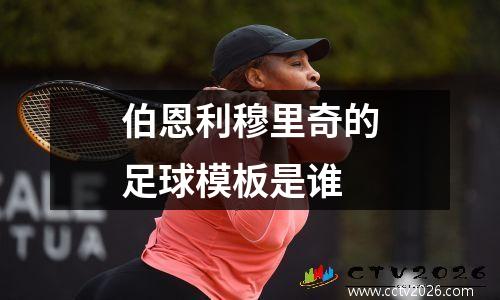 伯恩利穆里奇的足球模板是谁