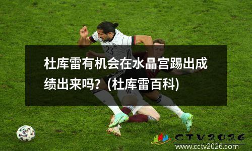 杜库雷有机会在水晶宫踢出成绩出来吗？(杜库雷百科)