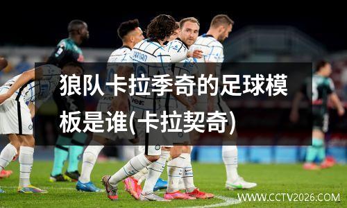 狼队卡拉季奇的足球模板是谁(卡拉契奇)