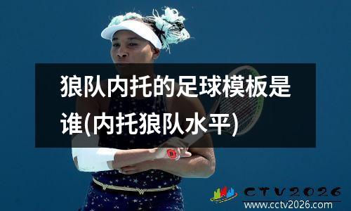 狼队内托的足球模板是谁(内托狼队水平)