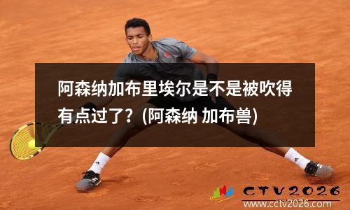 阿森纳加布里埃尔是不是被吹得有点过了？(阿森纳 加布兽)