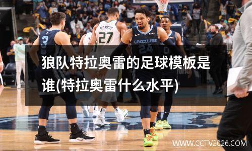狼队特拉奥雷的足球模板是谁(特拉奥雷什么水平)