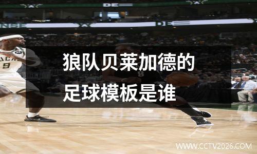 狼队贝莱加德的足球模板是谁