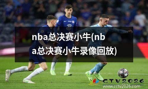 nba总决赛小牛(nba总决赛小牛录像回放)