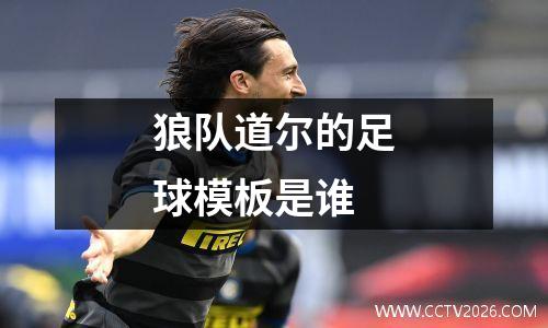 狼队道尔的足球模板是谁