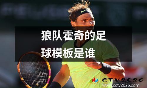 狼队霍奇的足球模板是谁