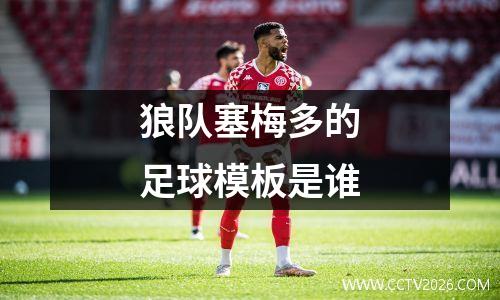 狼队塞梅多的足球模板是谁