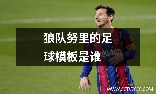 狼队努里的足球模板是谁
