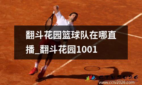 翻斗花园篮球队在哪直播_翻斗花园1001