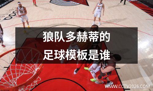 狼队多赫蒂的足球模板是谁