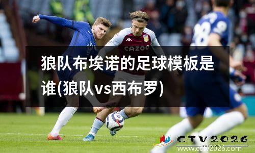 狼队布埃诺的足球模板是谁(狼队vs西布罗)