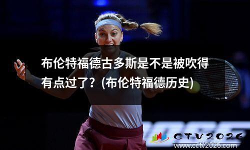 布伦特福德古多斯是不是被吹得有点过了？(布伦特福德历史)