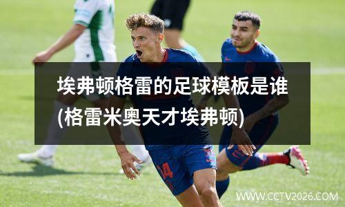 埃弗顿格雷的足球模板是谁(格雷米奥天才埃弗顿)