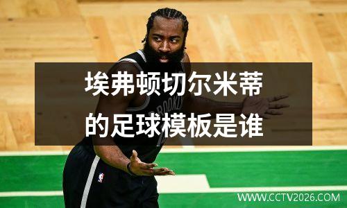 埃弗顿切尔米蒂的足球模板是谁