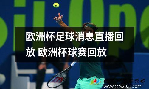 欧洲杯足球消息直播回放 欧洲杯球赛回放