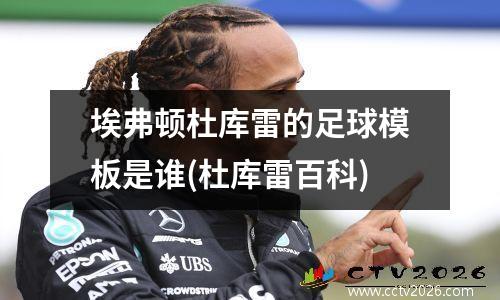 埃弗顿杜库雷的足球模板是谁(杜库雷百科)