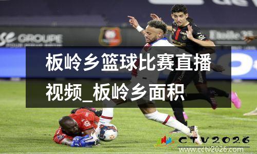 板岭乡篮球比赛直播视频_板岭乡面积