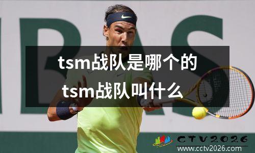 tsm战队是哪个的 tsm战队叫什么