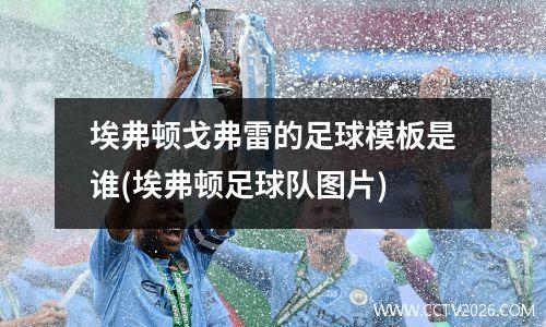 埃弗顿戈弗雷的足球模板是谁(埃弗顿足球队图片)