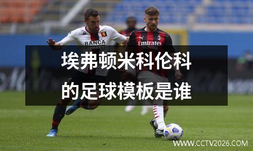 埃弗顿米科伦科的足球模板是谁
