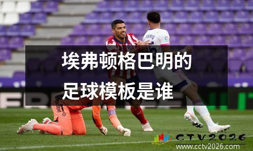 埃弗顿格巴明的足球模板是谁