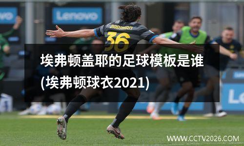 埃弗顿盖耶的足球模板是谁(埃弗顿球衣2021)
