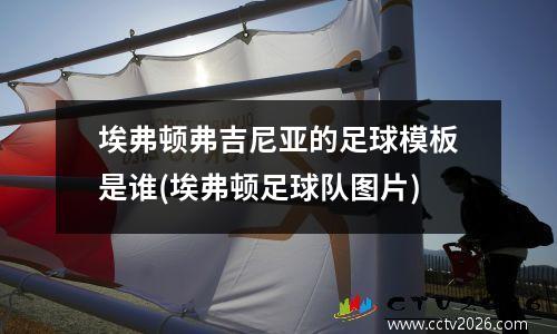 埃弗顿弗吉尼亚的足球模板是谁(埃弗顿足球队图片)