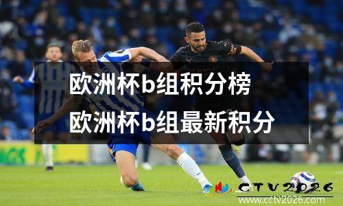 欧洲杯b组积分榜 欧洲杯b组最新积分