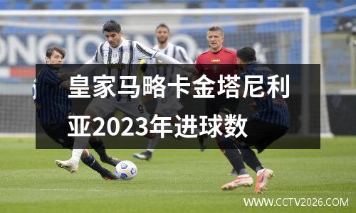 皇家马略卡金塔尼利亚2023年进球数