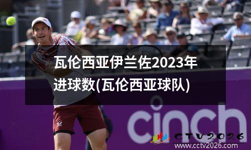 瓦伦西亚伊兰佐2023年进球数(瓦伦西亚球队)