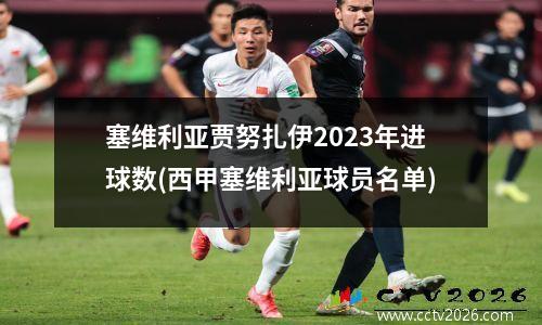 塞维利亚贾努扎伊2023年进球数(西甲塞维利亚球员名单)