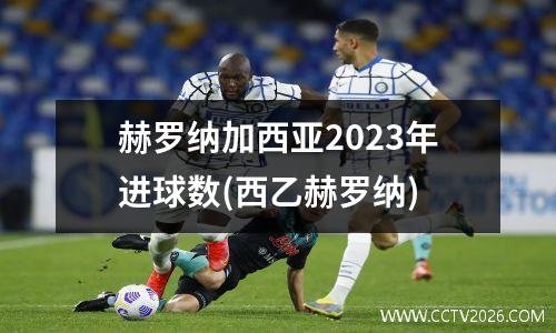 赫罗纳加西亚2023年进球数(西乙赫罗纳)