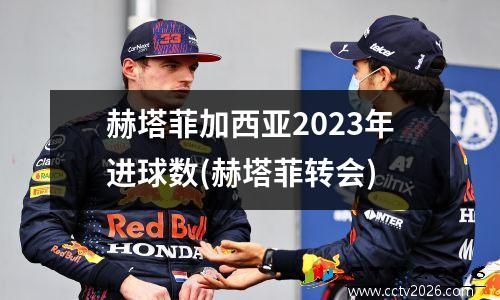 赫塔菲加西亚2023年进球数(赫塔菲转会)