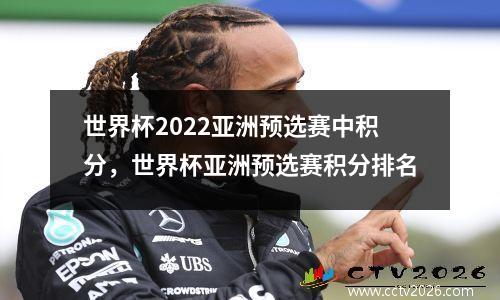 世界杯2022亚洲预选赛中积分，世界杯亚洲预选赛积分排名