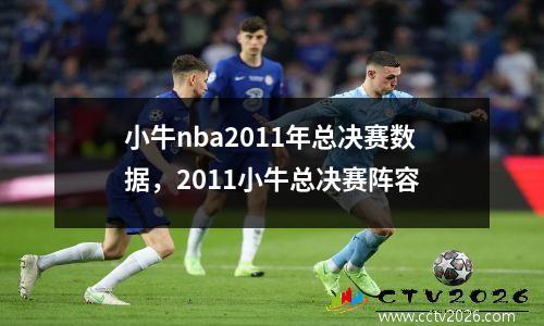 小牛nba2011年总决赛数据，2011小牛总决赛阵容
