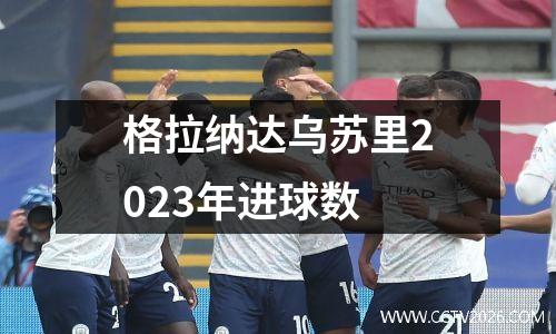 格拉纳达乌苏里2023年进球数