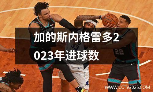 加的斯内格雷多2023年进球数