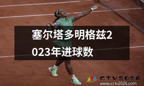 塞尔塔多明格兹2023年进球数