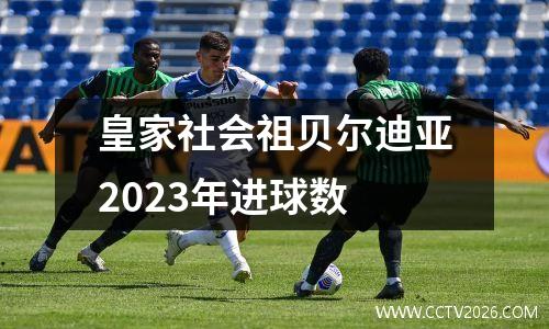皇家社会祖贝尔迪亚2023年进球数