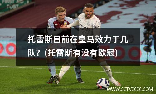 托雷斯目前在皇马效力于几队？(托雷斯有没有欧冠)