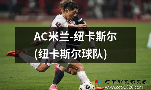 AC米兰-纽卡斯尔(纽卡斯尔球队)