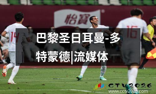 巴黎圣日耳曼-多特蒙德|流媒体