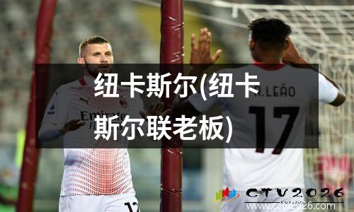 纽卡斯尔(纽卡斯尔联老板)