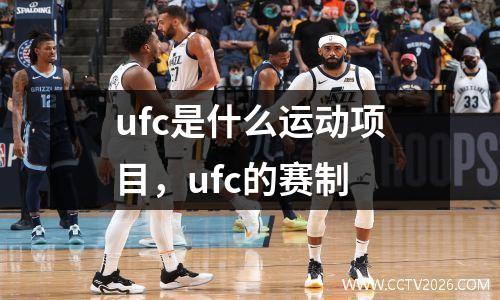 ufc是什么运动项目，ufc的赛制