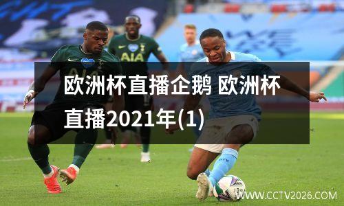 欧洲杯直播企鹅 欧洲杯直播2021年(1)