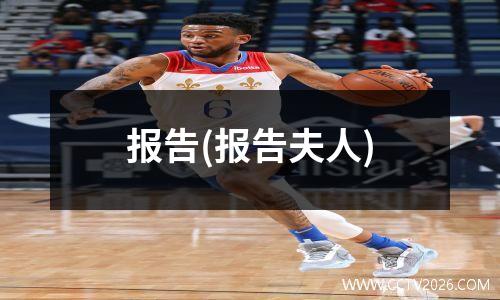 报告(报告夫人)