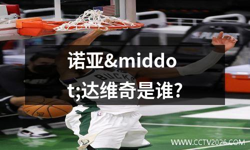 诺亚·达维奇是谁?