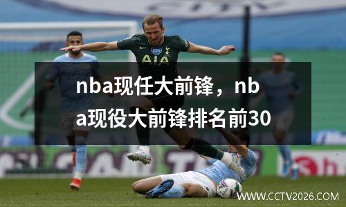 nba现任大前锋，nba现役大前锋排名前30